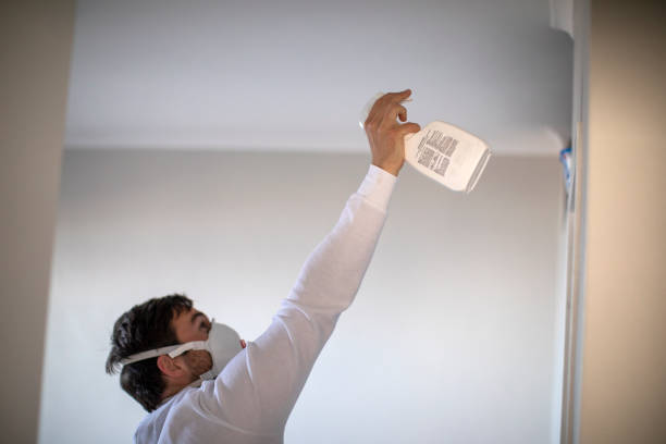 Best Emergency Mold Remediation in Los Luceros, NM