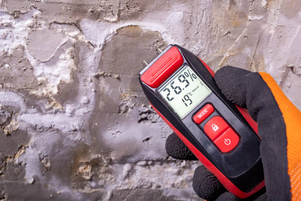 Best Mold Remediation for Schools in Los Luceros, NM