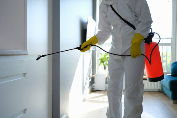 Best Localized Mold Remediation (e.g., coastal areas, humid climates) in Los Luceros, NM